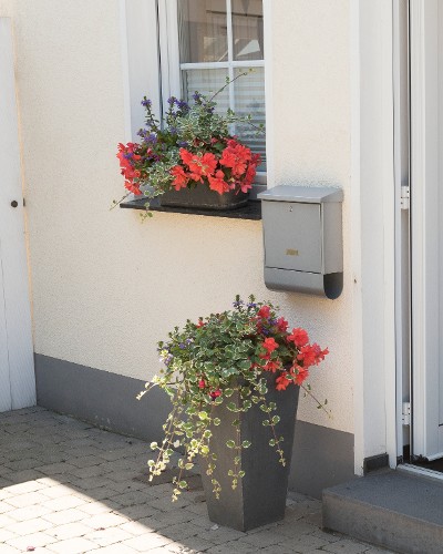 Neat window boxes despite leading a busy life