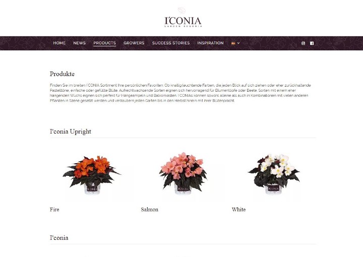 I’conia Website erwacht zum Leben